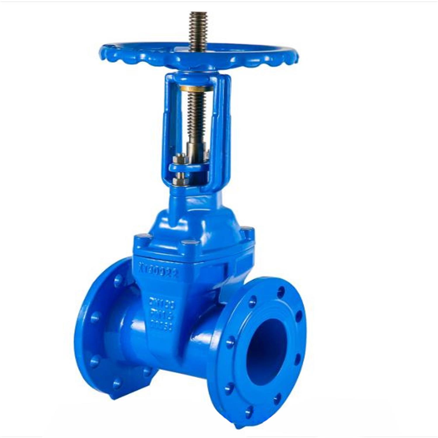 Rising Stem Resilient Flange Gate Valve