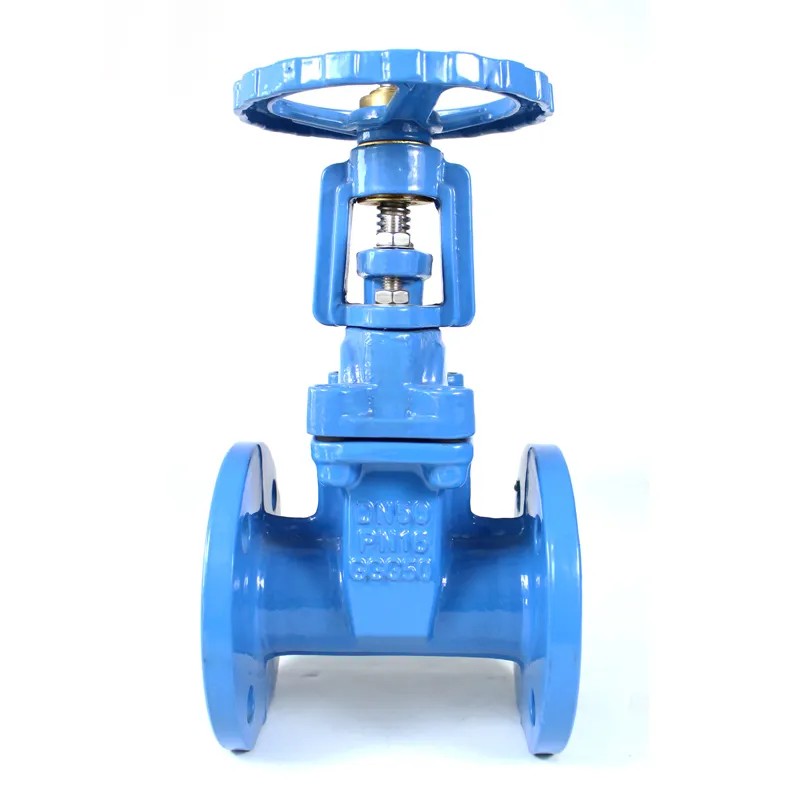 Rising Stem Cast Iron Metal Seal Gate Valve