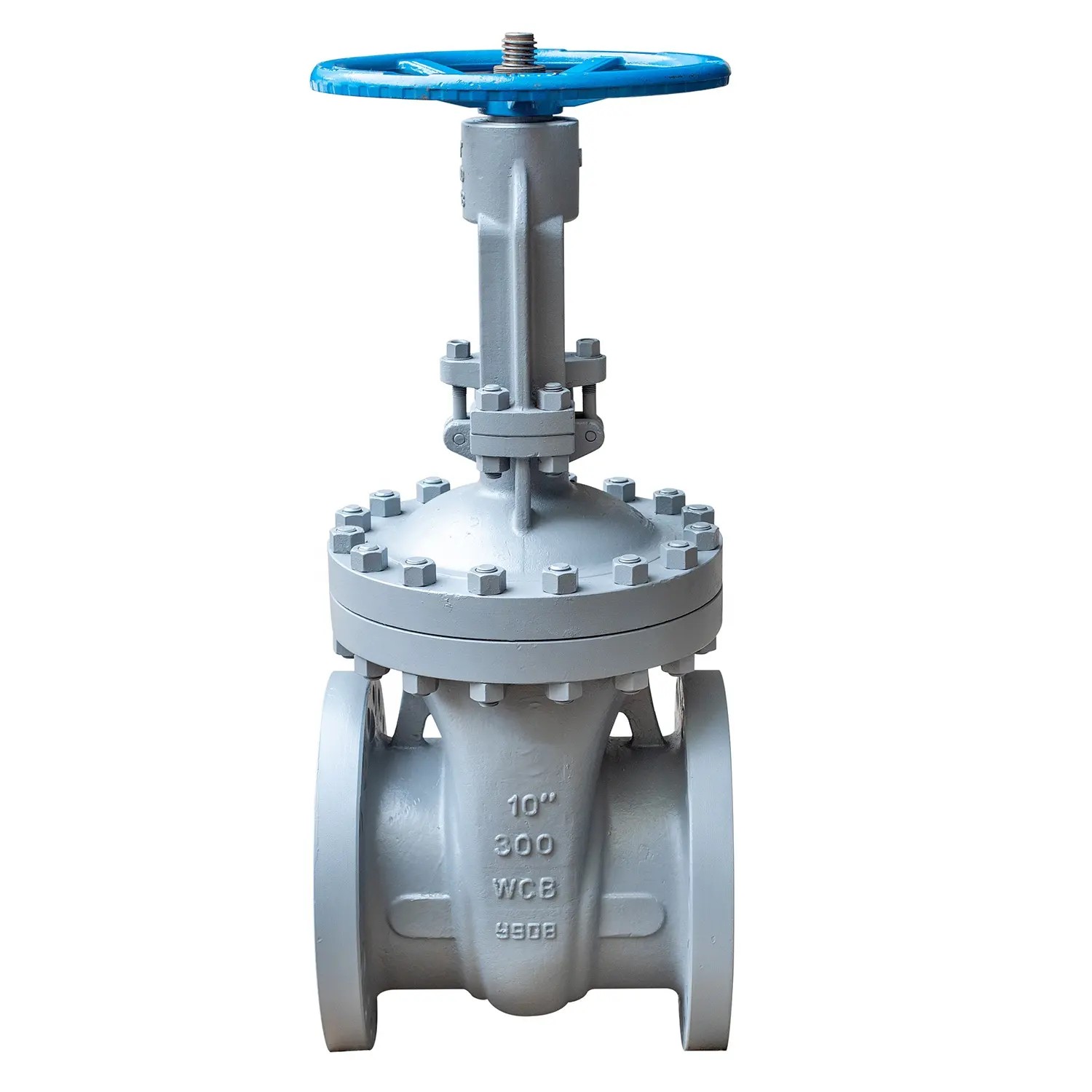 Gost Standard EAC Metal Seated Gate Valve