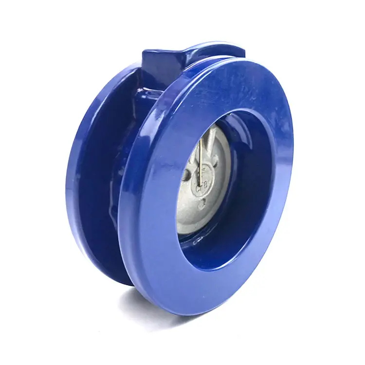 Cast Iron Single Plate Check Valve